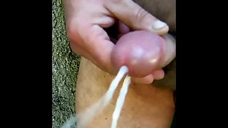 1556 solo masturbation porn videos