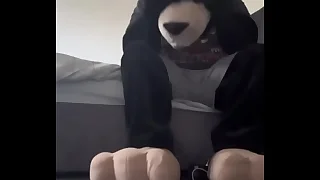 Baseball designated hitter come into possession of giant furry wolf