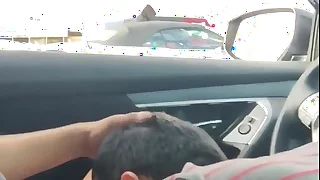 7922 gay blowjob porn videos